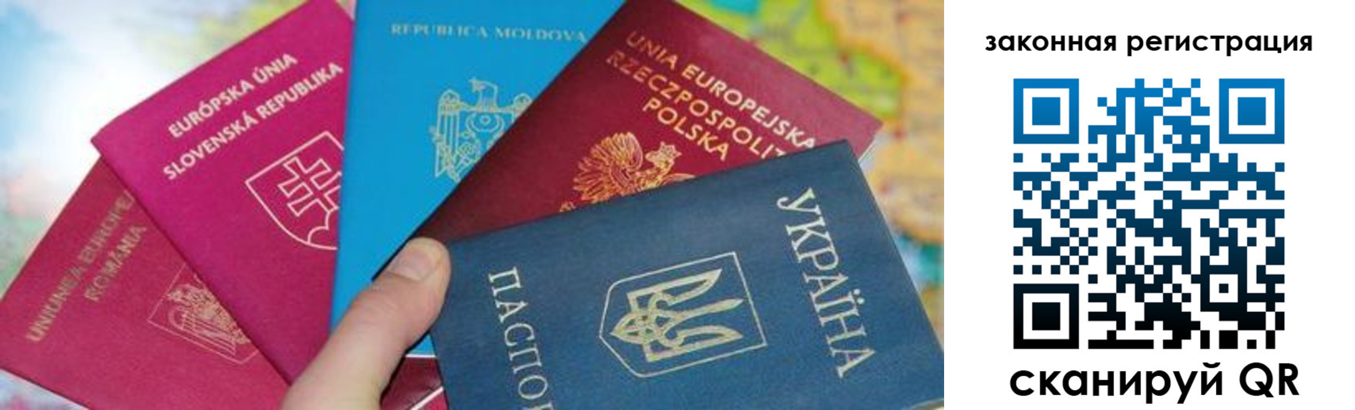 где прописаться в Димитровграде